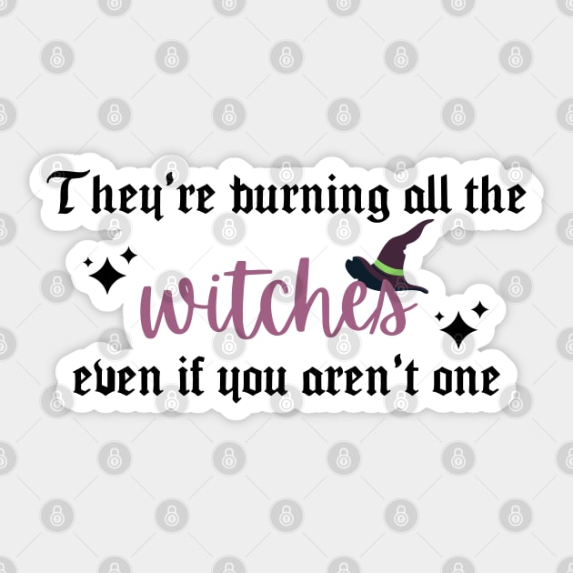 They're Burning All the Witches Taylor Swift Sticker by Mint-Rose